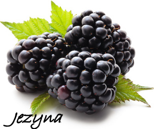 jeżyna