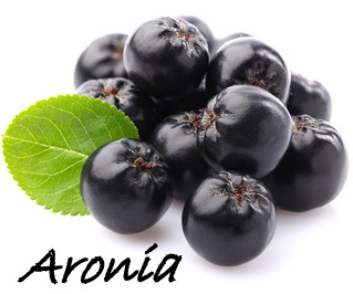 aronia