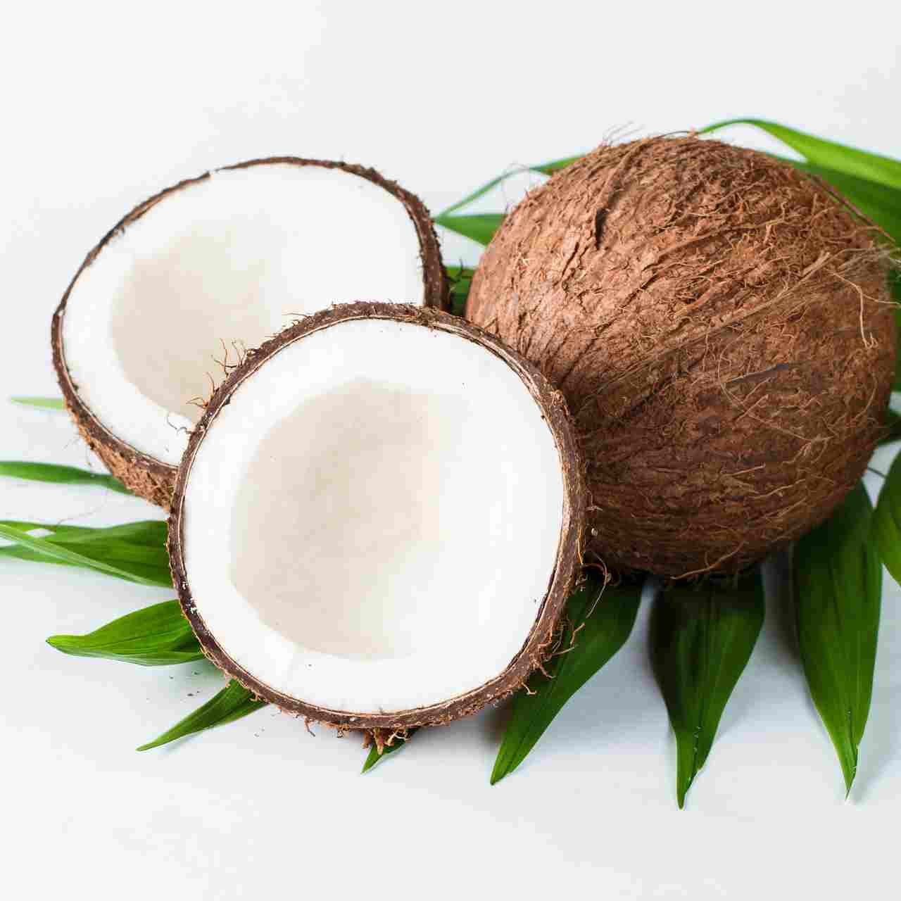 kokos