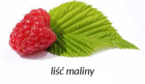 lisc-malin
