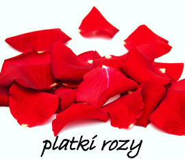 płatki róży