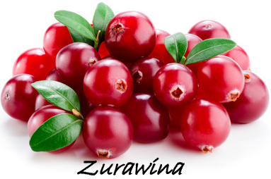zurawina